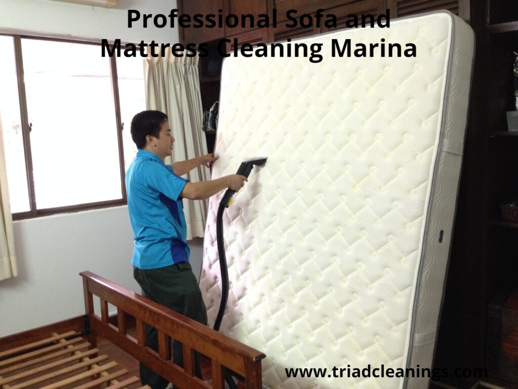 Professional Sofa and Mattress Cleaning Marina